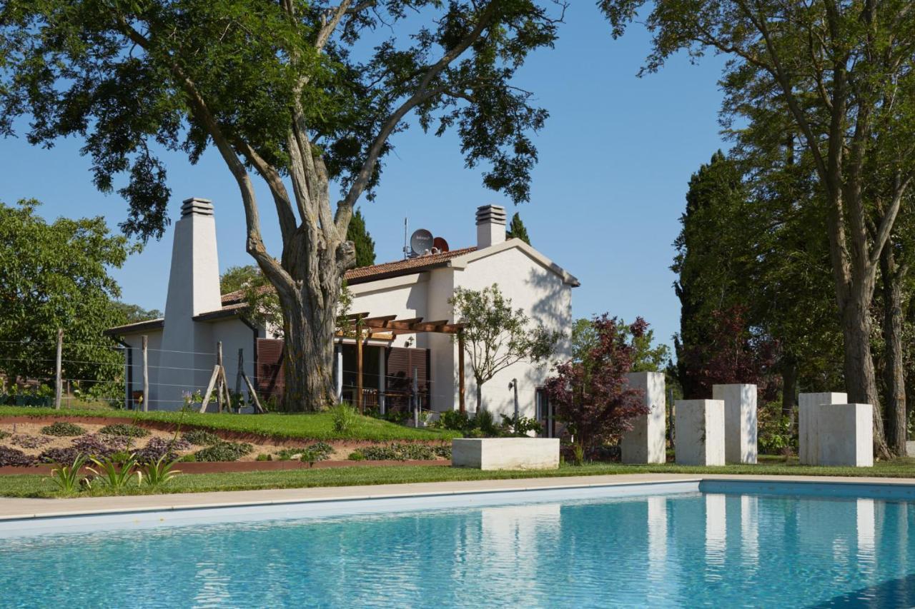 Grandono Agriturismo In Maremma Scansano Ngoại thất bức ảnh